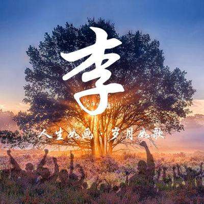 星之契约手游官方版下载
