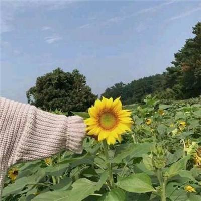 游艇狂飙免费版